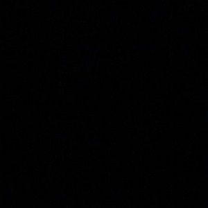 Meet your Posher, Ella